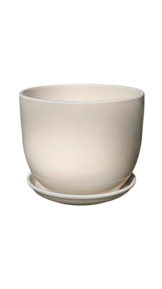Medium White Plated Ceramic Pot - Freshplants